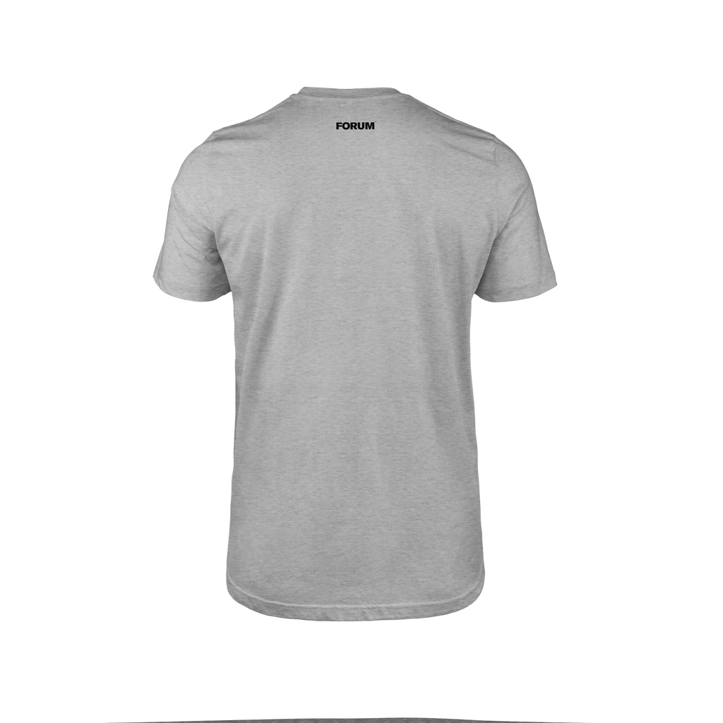 Forum f-solid short sleeve t-shirt back in heather grey.